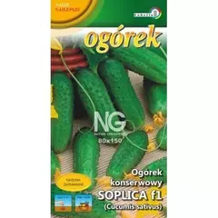 Огурец Соплица F1 LOBELIA II 5 г