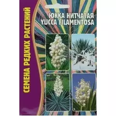 Юкка нитчатая YUCCA FILAMENTOSA 15 шт РЕДКИЕ СЕМЕНА