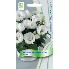 Эустома махровая Рози Белая 5 шт ПОИСК