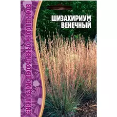 Шизахириум Венечный 20 шт РЕДКИЕ СЕМЕНА