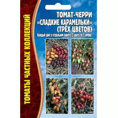 Томат-черри Сладкие Карамельки (трёх цветов) 3х5 шт РЕДКИЕ СЕМЕНА