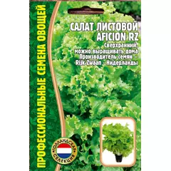 Салат  листовой Афишион 30 шт РЕДКИЕ СЕМЕНА