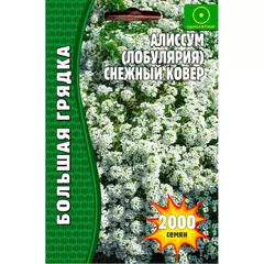 Алиссум Лобулярия Снежный Ковер 1000 шт РЕДКИЕ СЕМЕНА