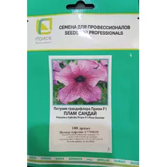 Петуния грандифлора Призм  Плам Сандай 10 шт ПОИСК