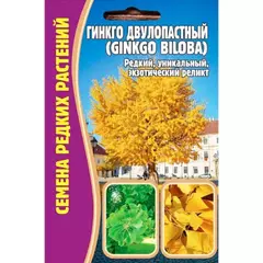 Гинкго двулопастный 3 шт РЕДКИЕ СЕМЕНА