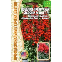 Лобелия Старшип Скарлет прекрасная 3 шт РЕДКИЕ СЕМЕНА