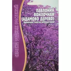 Павлония войлочная Адамово дерево 10 шт РЕДКИЕ СЕМЕНА