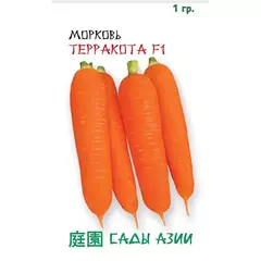 Морковь Терракота F1 1 г Сады Азии
