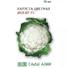 Капуста цветная Илкар F1 10 шт Сады Азии