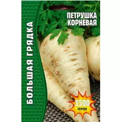 Петрушка корневая  3500 шт РЕДКИЕ СЕМЕНА
