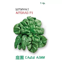Шпинат Аполло F1 1 г Сады Азии