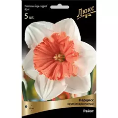 Нарцисс  крупнокорончатый Райот 3 шт ПОИСК