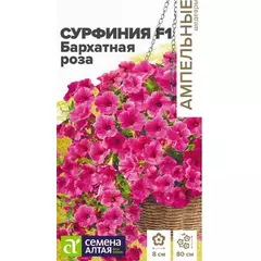 Петуния ампельная сурфиния Бархатная роза F1  5 шт