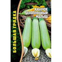Кабачок белоплодный Малыш 15 шт РЕДКИЕ СЕМЕНА