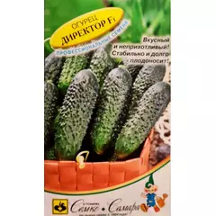 Огурец Директор F1 5 шт Алькор