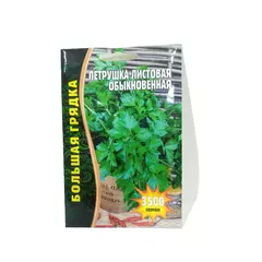 Петрушка листовая Обыкновенная 3500 шт РЕДКИЕ СЕМЕНА