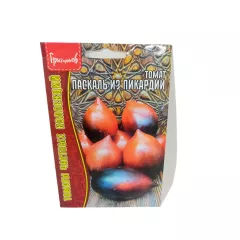 Томат Паскаль из Пикардии 10 шт РЕДКИЕ СЕМЕНА