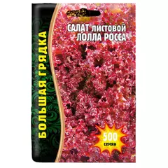 Салат листовой Лолла Росса 500 шт РЕДКИЕ СЕМЕНА