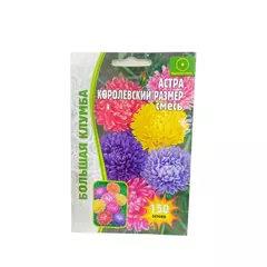 Астра Королевский Размер смесь 150 шт РЕДКИЕ СЕМЕНА