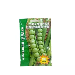 Горох Кельведонское Чудо 100 шт РЕДКИЕ СЕМЕНА