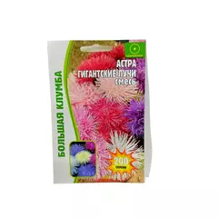 Астра Гигантские Лучи смесь 200 шт РЕДКИЕ СЕМЕНА
