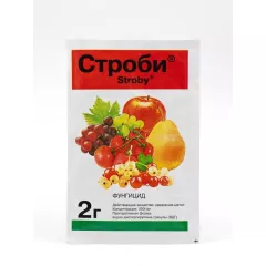 ЛТ Строби 2 г