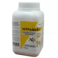 Муравьев НЕТ