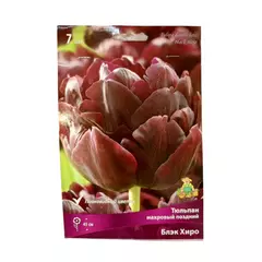 Тюльпан махровый поздний Блэк Хиро 7 шт ПОИСК