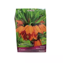 Рябчик императорский Аврора ПОИСК