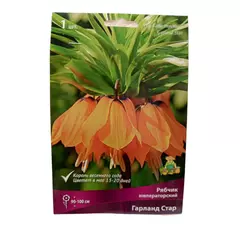 Рябчик императорский Гарланд Стар ПОИСК