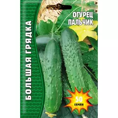 Огурец Пальчик 50 шт РЕДКИЕ СЕМЕНА