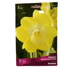 Нарцисс крупнокорончатый Авалон 5 шт ПОИСК