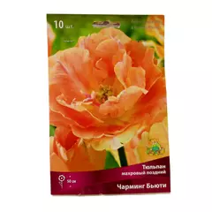 Тюльпан махровый поздний Чарминг Бьюти 10 шт ПОИСК