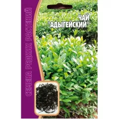 Чай Адыгейский 3 шт РЕДКИЕ СЕМЕНА