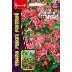 Жимолость татарская 15 шт РЕДКИЕ СЕМЕНА