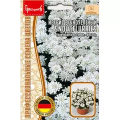 Иберис вечнозеленый SNOW FLURRIES 5 шт РЕДКИЕ СЕМЕНА