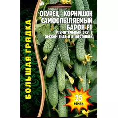Огурец  Барон F1 корнишон 25 шт РЕДКИЕ СЕМЕНА