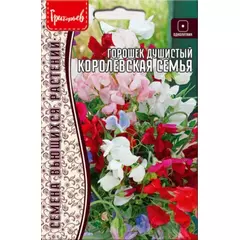 Горошек душистый (ЧИНА) Королевская Семья 10 шт РЕДКИЕ СЕМЕНА