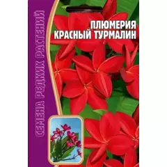 Плюмерия Красный Турмалин 3 шт РЕДКИЕ СЕМЕНА