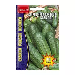 Огурец Калипсо мини корнишон  F1 20 шт РЕДКИЕ СЕМЕНА