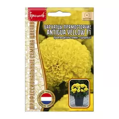 Бархатцы прямостоячие ANTIGUA YELLOW F1 5 шт РЕДКИЕ СЕМЕНА