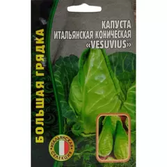 Капуста б/к Итальянская коническая VESUVIUS 0,2 г РЕДКИЕ СЕМЕНА