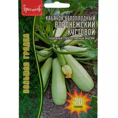 Кабачок Воронежский кустовой белоплодный 20 шт РЕДКИЕ СЕМЕНА