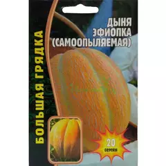 Дыня  Эфиопка самоопыляемая 20 шт РЕДКИЕ СЕМЕНА