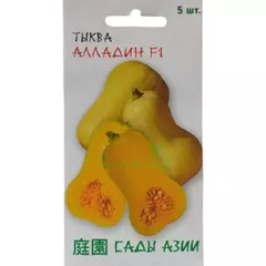 Тыква Алладин F1 5 шт Сады Азии