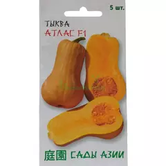 Тыква Атлас F1 5 шт Сады Азии