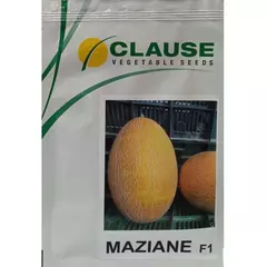 Дыня Мазиан 1000 шт CLAUSE ФРАНЦИЯ