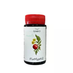 GROBRO FLOMYSTIQ Стимулятор образования завязей
