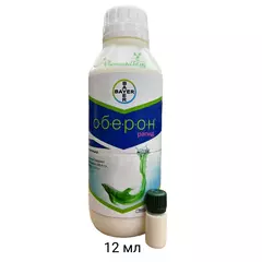 Оберон рапид