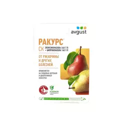 Ракурс, СК Август